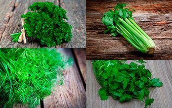 Parsley, celery, dill and cilantro should be introduced into the diet of men to increase potency